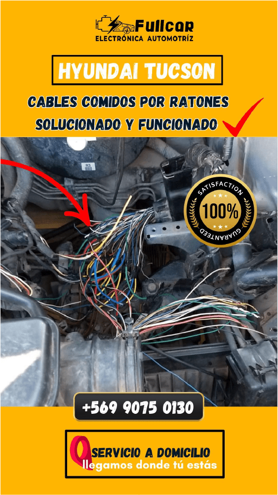 Trabajos realizados-11-min